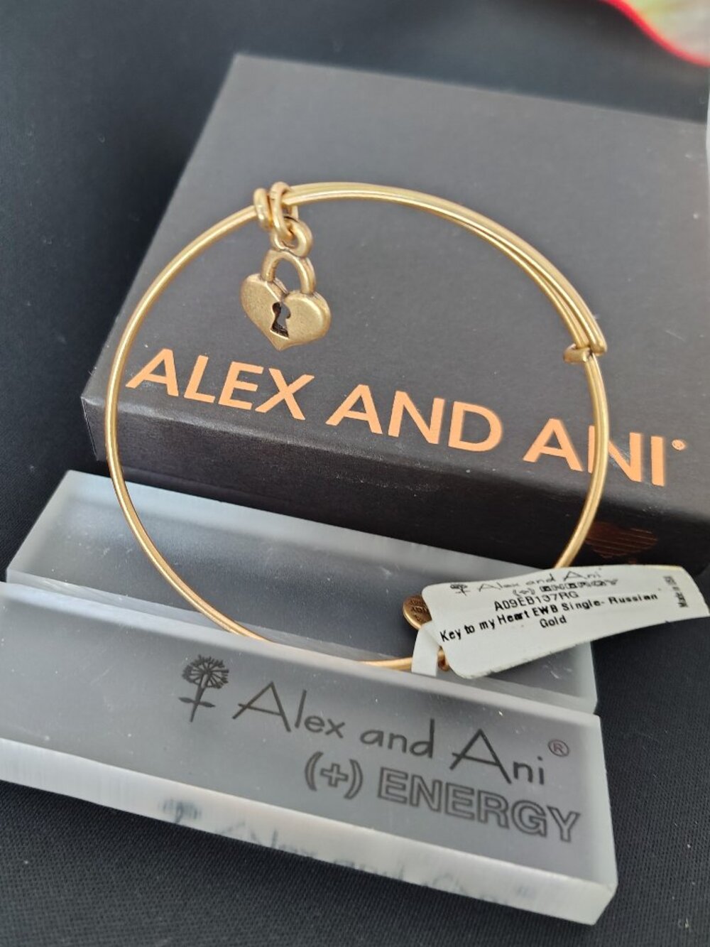 New Alex and Ani Heart Key to Love Bangle 824